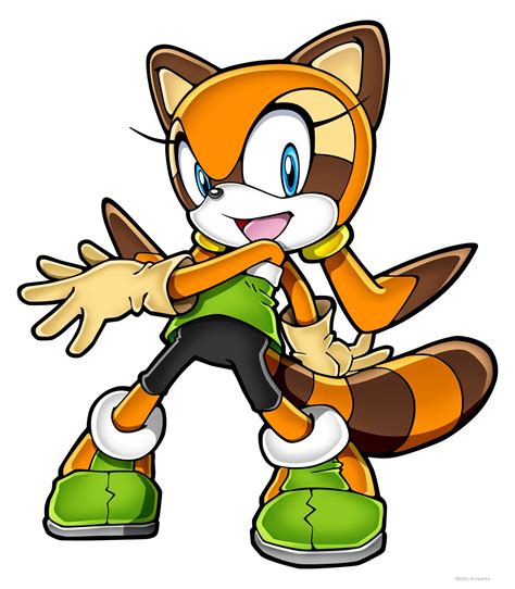 sonic the hedgehog marine|sonic raccoon.